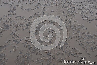 Natural texture of pieces of gray ice in brown dirty water of a large puddle Stock Photo
