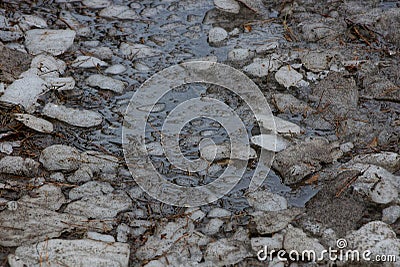 Natural texture of pieces of gray ice and muddy water in a puddle Stock Photo