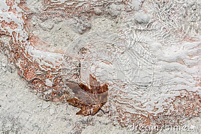 Natural travertine background Stock Photo