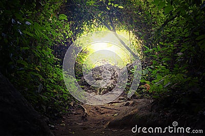 Natural tunnel in tropical jungle forest Stock Photo