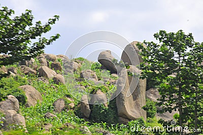 Natural vegetation that attracts visitors Stock Photo