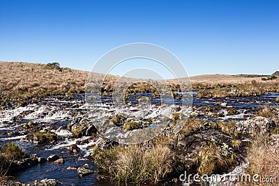 Natural Vegetation of Campos de Vacaria Stock Photo