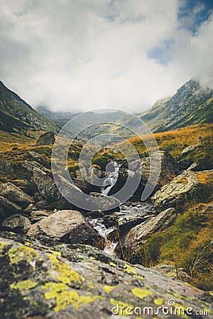 Natural view of mossy rocky creek in the countryside on a foogy day Stock Photo