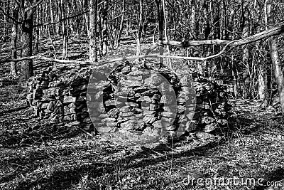 Natural view of piled stones in the middle of leafless trees in grayscale Stock Photo