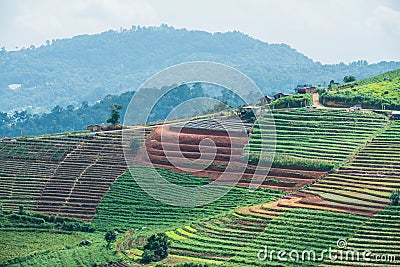 Natural view in Thai Stock Photo