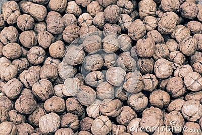Natural walnut background pattern texture walnuts heap pattern background. Gray texture and background. Stock Photo
