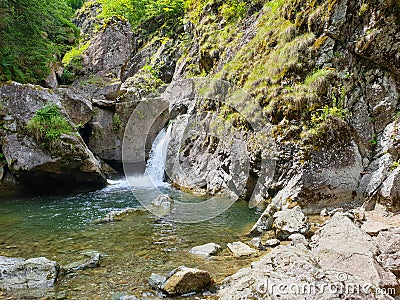 Natural water pond, at Iadolina waterfall, Romania Stock Photo