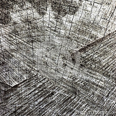 Natural Weathered Grey Tree Stump Cut Texture, Large Detailed Old Aged Gray Lumber Background Macro Closeup, Dark Black Cracked Stock Photo