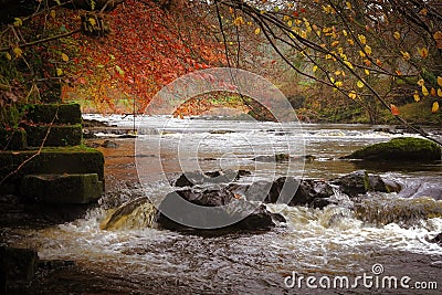 Natural weir and Autumn colour. Stock Photo