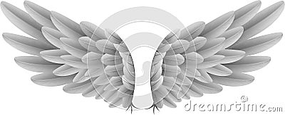 Natural white goose wings with background Vector Illustration