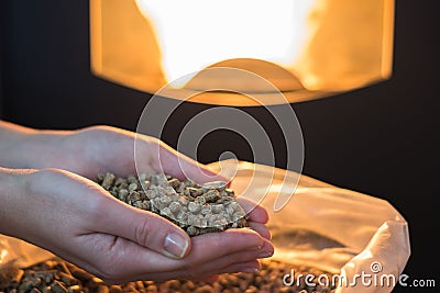 Natural wood pellet for heating in women`s hands, bio fuel Stock Photo