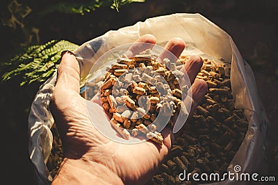 Natural wood pellet Stock Photo