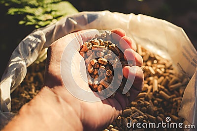 Natural wood pellet Stock Photo