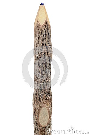 Natural Wood Pencil Stock Photo