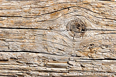 Natural wood texture closeup Stock Photo