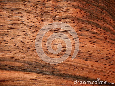Natural wood veneer wood ebony Eben Makasar Stock Photo