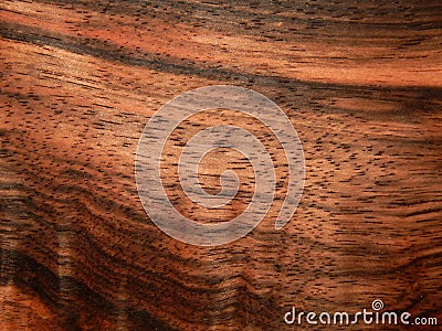 Natural wood veneer wood ebony Eben Makassar Stock Photo