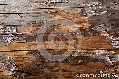 Natural wooden background Stock Photo