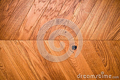 Natural wooden background herringbone, grunge parquet flooring design seamless texture Stock Photo