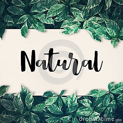 Natural word with green leaf.friendly,eco environment,concept Stock Photo