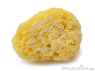 Natural yellow sponge Stock Photo
