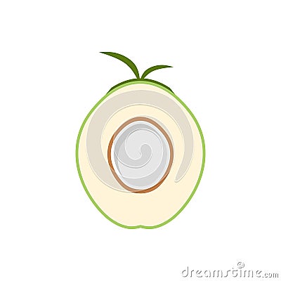 Natural Young Coconut flat design vector illustration. fresh coconut logo suitable for summer, vector design and isolated on white Vector Illustration