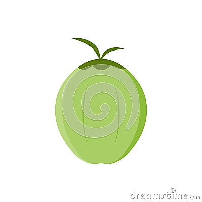 Natural Young Coconut flat design vector illustration. fresh coconut logo suitable for summer, vector design and isolated on white Vector Illustration