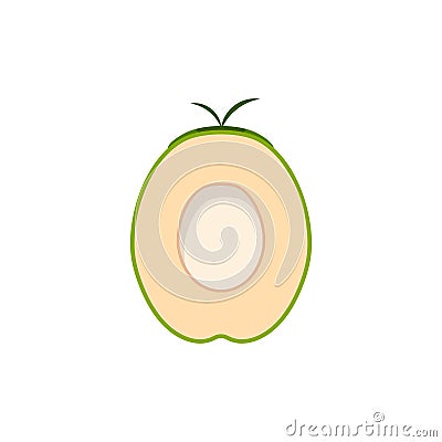 Natural Young Coconut flat design vector illustration. fresh coconut logo suitable for summer, vector design and isolated on white Vector Illustration