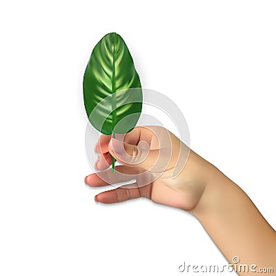 Naturalistic hand of man holds Beautiful Palm Tree Leaf Silhouette. Vector Illustration Vector Illustration