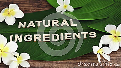 Naturalny komunikat o składnikach na liściu bananów tropikalnych z kwiatami monoi frangipani z kamerą panoramiczną poziomo zbiory wideo Naturalny komunikat o składnikach na liściu bananów tropikalnych z kwiatami monoi frangipani z kamerą panoramiczną poziomo zbiory wideo
