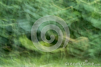 Nature Abstract Grass Background Stock Photo