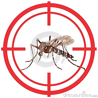 Nature, Aedes Aegypti mosquitoes with stilt target. Vector Illustration