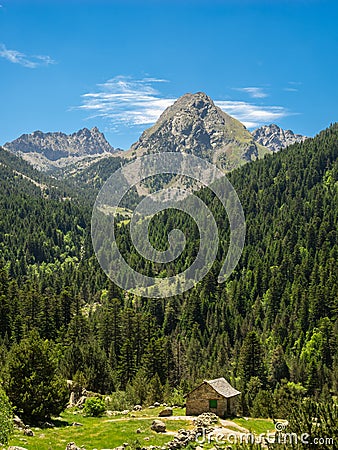 Nature in Aiguestortes National Park in Pyrenees, Catalonia, Spain Stock Photo