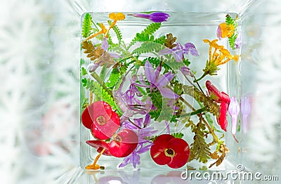 Nature art flower composition Stock Photo