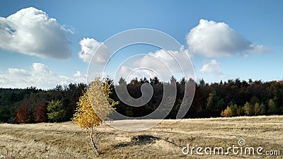 Nature autum colors Stock Photo