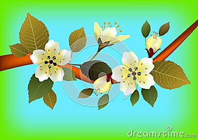 Nature background with blossom branch of pink sakura flowers. Vector Illustration