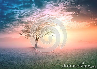 Earth day concept Stock Photo