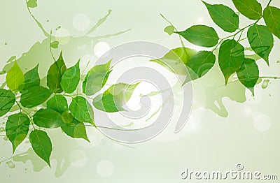 Nature background with green spring leaves Vector Illustration