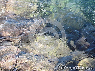 Nature background of transparent sea water flowing Stock Photo