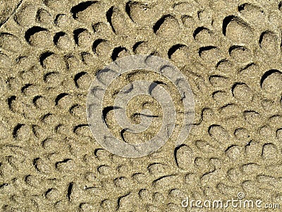 Nature background of weathered sandstone surface Stock Photo