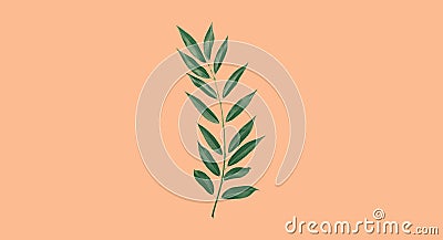 Nature and beauty concept - green branch willow plant with leaves isolated on beige background Stock Photo