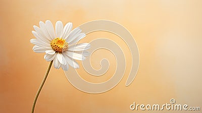 nature bloom flower background close Cartoon Illustration