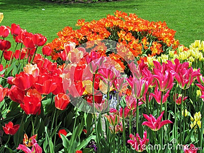 Nature in the City: Sweet colorful flower beds in bloom, Vancouver, May 2018 Editorial Stock Photo