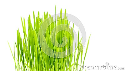 Nature concept Stock Photo