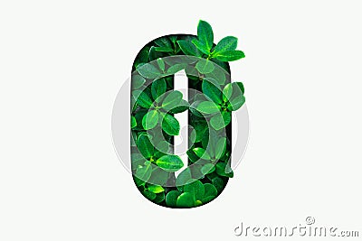 Nature concept alphabet of green leaves in alphabet letter O Stock Photo