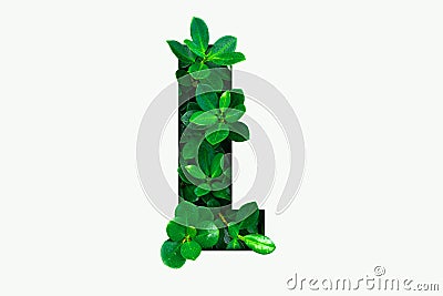 Nature concept alphabet of green leaves in alphabet letter L Stock Photo