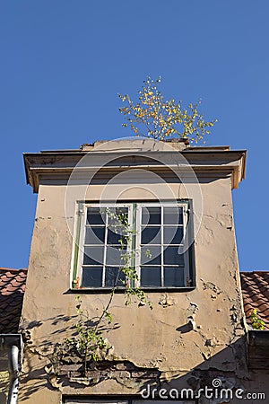 Nature conquered a house in the old town, dormer with window Stock Photo