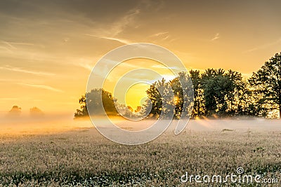 Nature conservation area at sunrise Stock Photo