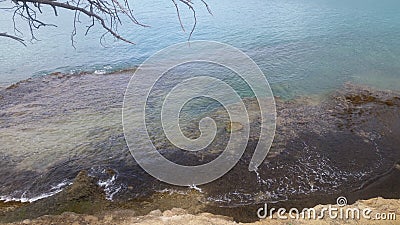 Nature doing her jobs sea weeds covered rocks Stock Photo