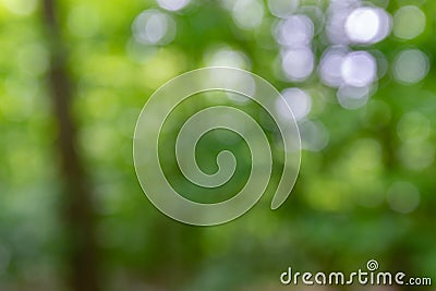 Nature,environment,parks,forests and texture concept. Stock Photo